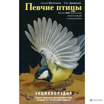 Изображения певчих птиц Украины: обои для рабочего стола в формате jpg