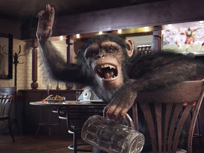 Смешные моменты: Пьяные обезьяны в Full HD