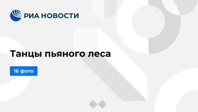 Арт с пьяными танцами: виртуозность и смелость в каждой кисти