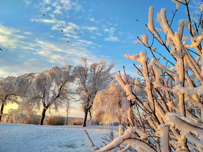 Фотогалерея Пятигорска: изысканные зимние картины