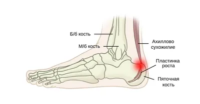 Пятки в объективе: разнообразие форматов для скачивания