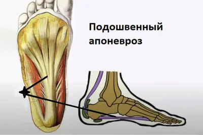 Уникальные снимки пяток в высоком разрешении и различных форматах