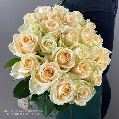 Фотография Пич аваланж розы с эффектом черно-белого фильтра