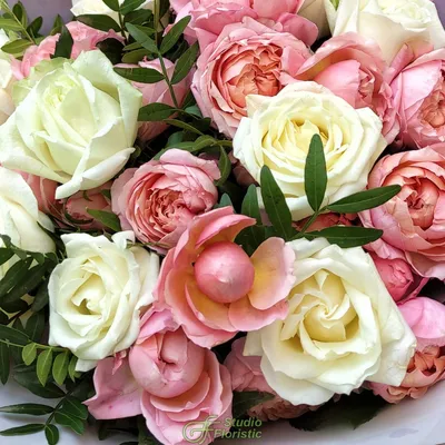 Фото Пич аваланж роза в гармоничном цветовом сочетании