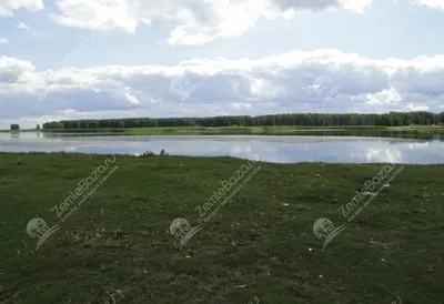 Погружение в мир Пичугового моря: снимки, достойные восхищения