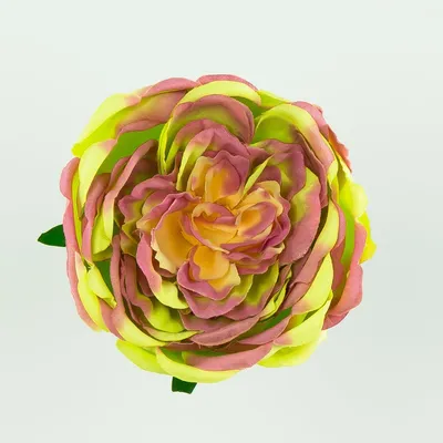 Картина пионообразной розы с цветочным аранжировкой