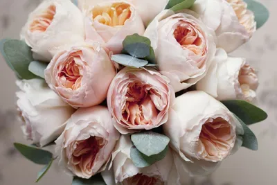 Фото пионообразной розы, окруженной другими цветами