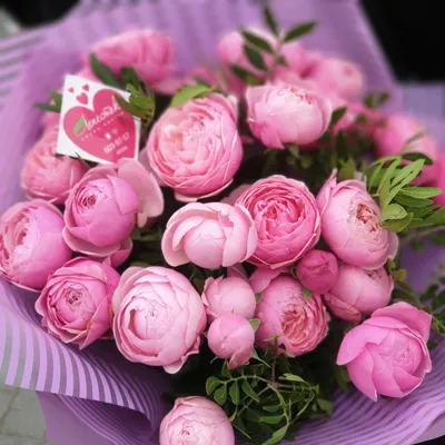 Фотография пионообразной розы с яркими цветами