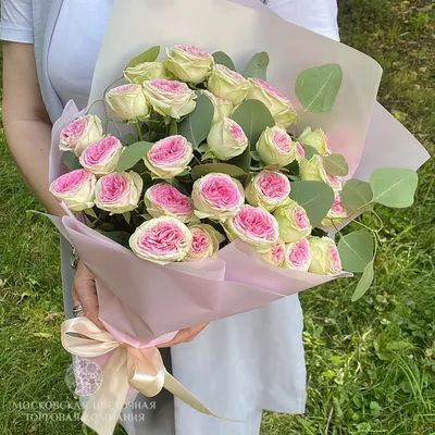 Великолепное изображение пионовых роз