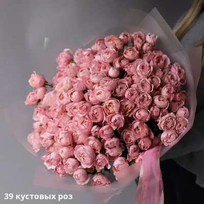 Удивительная фотография пионовых роз