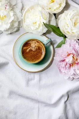 Искушение кофейным ароматом: фото пионов и кофе