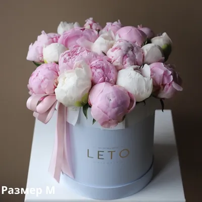 Фотография пионов: великолепные розовые и белые цветы