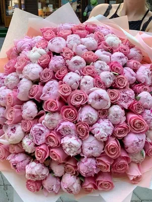 Изумительные пионы розы в разных форматах