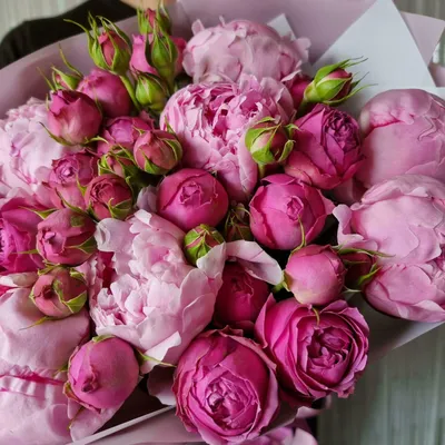 Фотки пионов роз: получите удовольствие от просмотра
