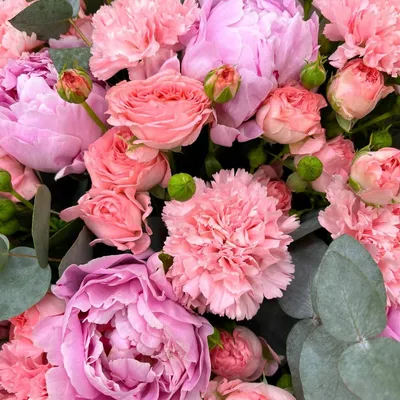 Качественные фото пионов роз: сохраните красоту на долгие годы