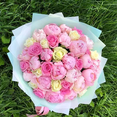 Пионы розы: великолепие цветов на странице