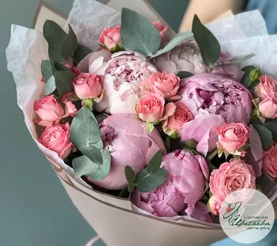 Фото пионов роз: неотразимое сочетание красок