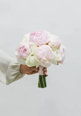 Удивительные пионы розы в формате jpg: выбирайте ваш любимый снимок