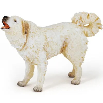 Пиренейская горная собака: фото в качестве открыток