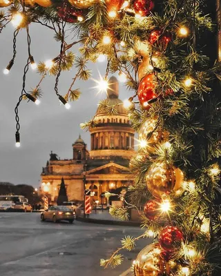 Питерский Новый год в фотографиях: Зимний мир