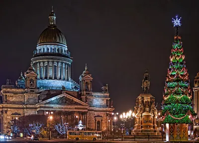 Петербург в праздничных огнях: Фотографии Нового года