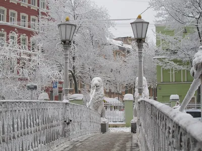 Сказочный Петербург засыпан снегом: красивые фотографии