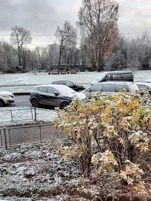 Зимний Петербург на фотографиях: волшебство зимы