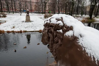 Фотографии Петербурга в снегу: путешествие в зимний рай