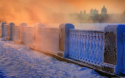 Фотографии снежных улиц Петербурга