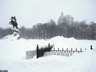 Красочный снежный пейзаж Санкт-Петербурга