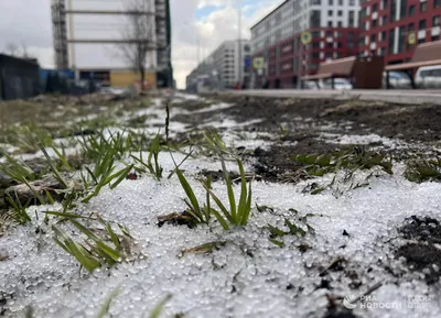 Зимний Петербург: Фотография снежных улиц