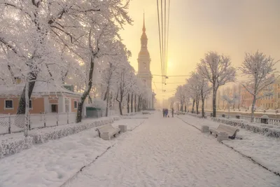 Петербург в снегу 2024: Фотография на 4K