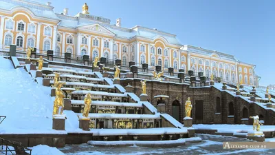 Питер в снегу: выбирайте формат для скачивания