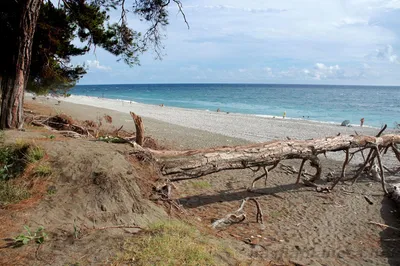 Пляжи Пицунды: отражение красоты черноморского побережья