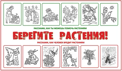 Плакат Берегите Растения Картинки - красивые фото для скачивания