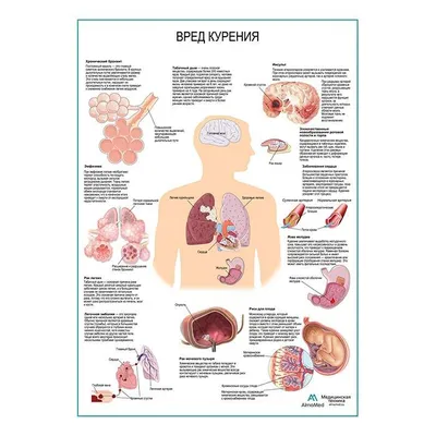 Плакаты Против Курения Картинки - подборка новых фото