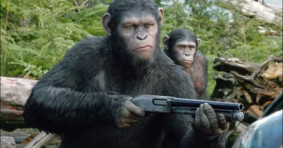 Планета обезьян революция: фотографии в разных разрешениях