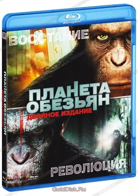 Обезьяны в фокусе: захватывающие кадры эпохи перемен