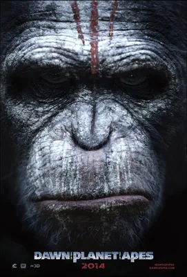 Фотографии обезьян в 4K: Невероятное качество изображений