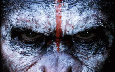 Властелины Леса: Планета обезьян революция в фотографиях