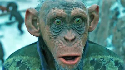 Новейшие кадры: Фотообзор событий на Планете обезьян война