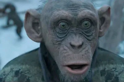 Особый взгляд: Уникальные ракурсы обезьян на Планете обезьян война
