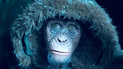 Эксклюзивные снимки: Подробный фотоотчет с Планеты обезьян война