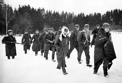 Изображение: Пленные немцы в зимнем плену и их удивительные истории