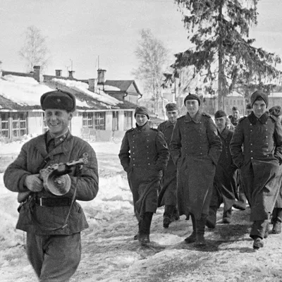 Фотография: Зимний плен и его драматичные моменты