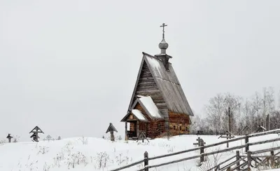 Зимняя аллея: красивый снежный тоннель деревьев (PNG)