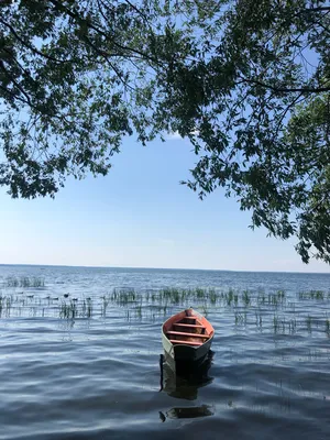 Красивые фотографии Плещеево озеро пляж