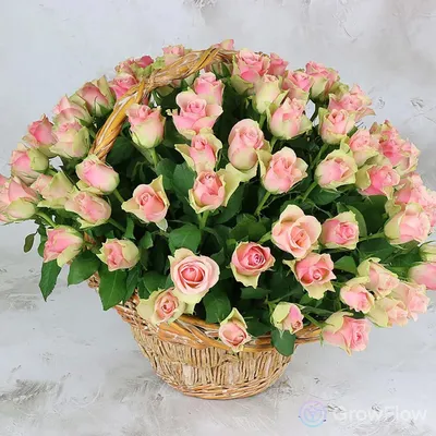 Изображение плетеной розы в формате png