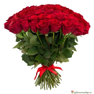Изображение плетеной розы в формате webp