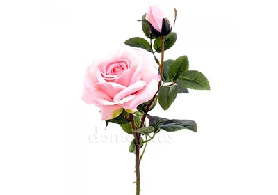 Плетеная роза: изображение для скачивания в формате png